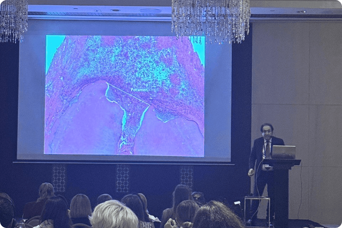 Мастер-класс от Доменико Рикуччи в Дубае image